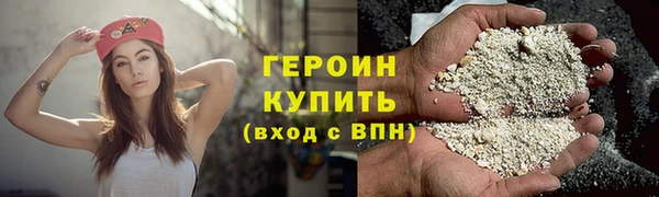 индика Вяземский